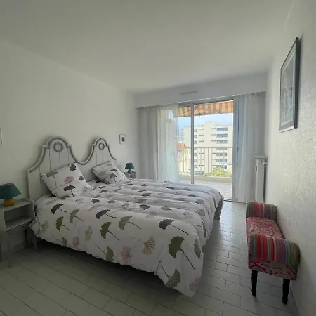 Apartment One Bedroom Terrasse Near The Cannes